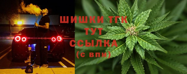 прущие грибы Балабаново