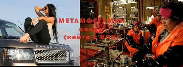 прущие грибы Балабаново