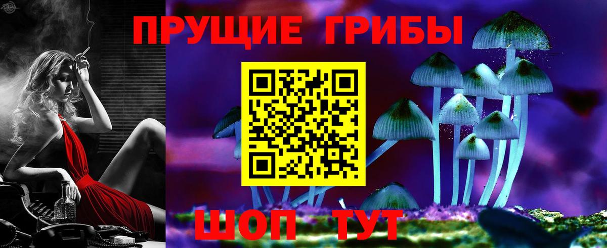 Семилуки  где купить наркотик  Вход с VPN  Псилоцибиновые грибы Psilocybe 